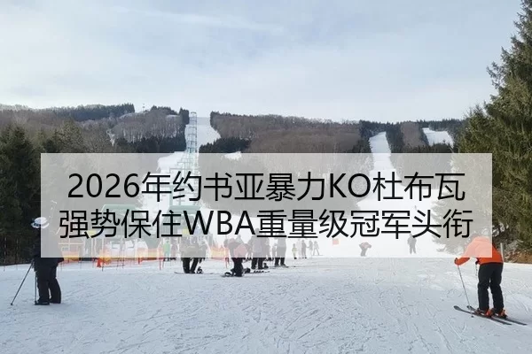 2026年约书亚暴力KO杜布瓦 强势保住WBA重量级冠军头衔